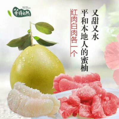 湖北宜昌秭歸縣柚子 沙田柚批發市場探析，0.60元/斤的價格優勢與品質保障