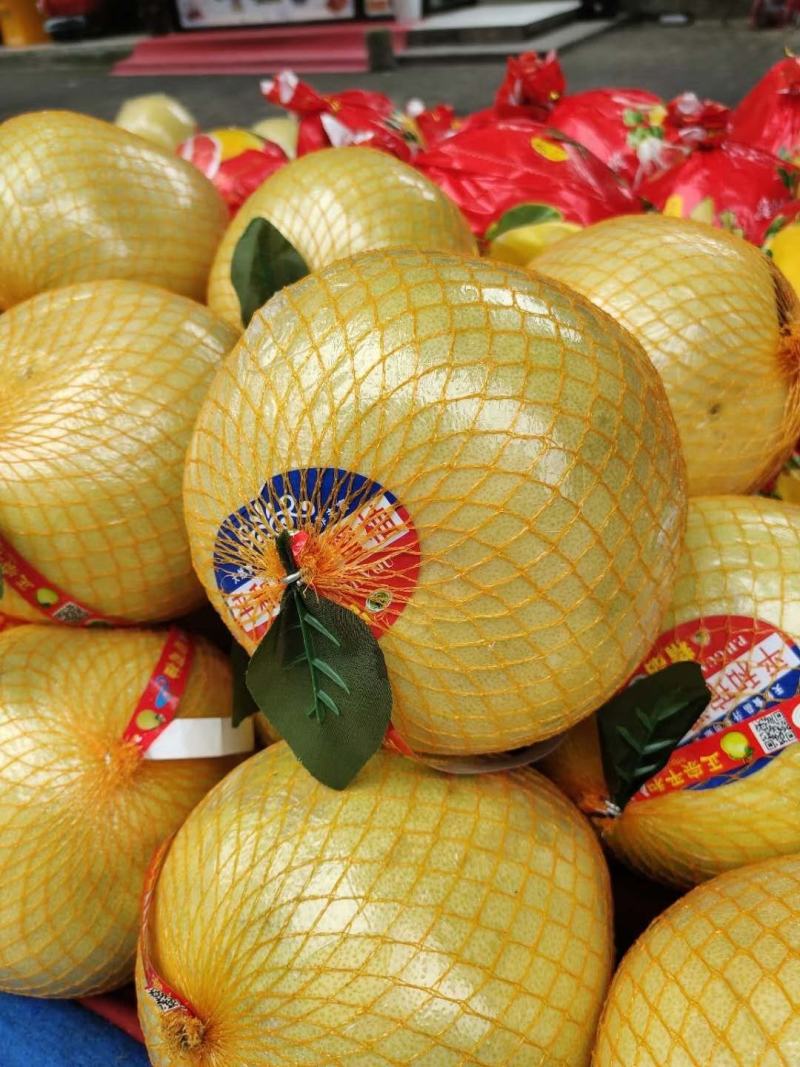 湖北宜昌西陵區白心蜜柚 產地直供，品質優價格美